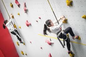 国产游戏最多一次，《黑神话》《无限暖暖》获IGN年度游戏提名