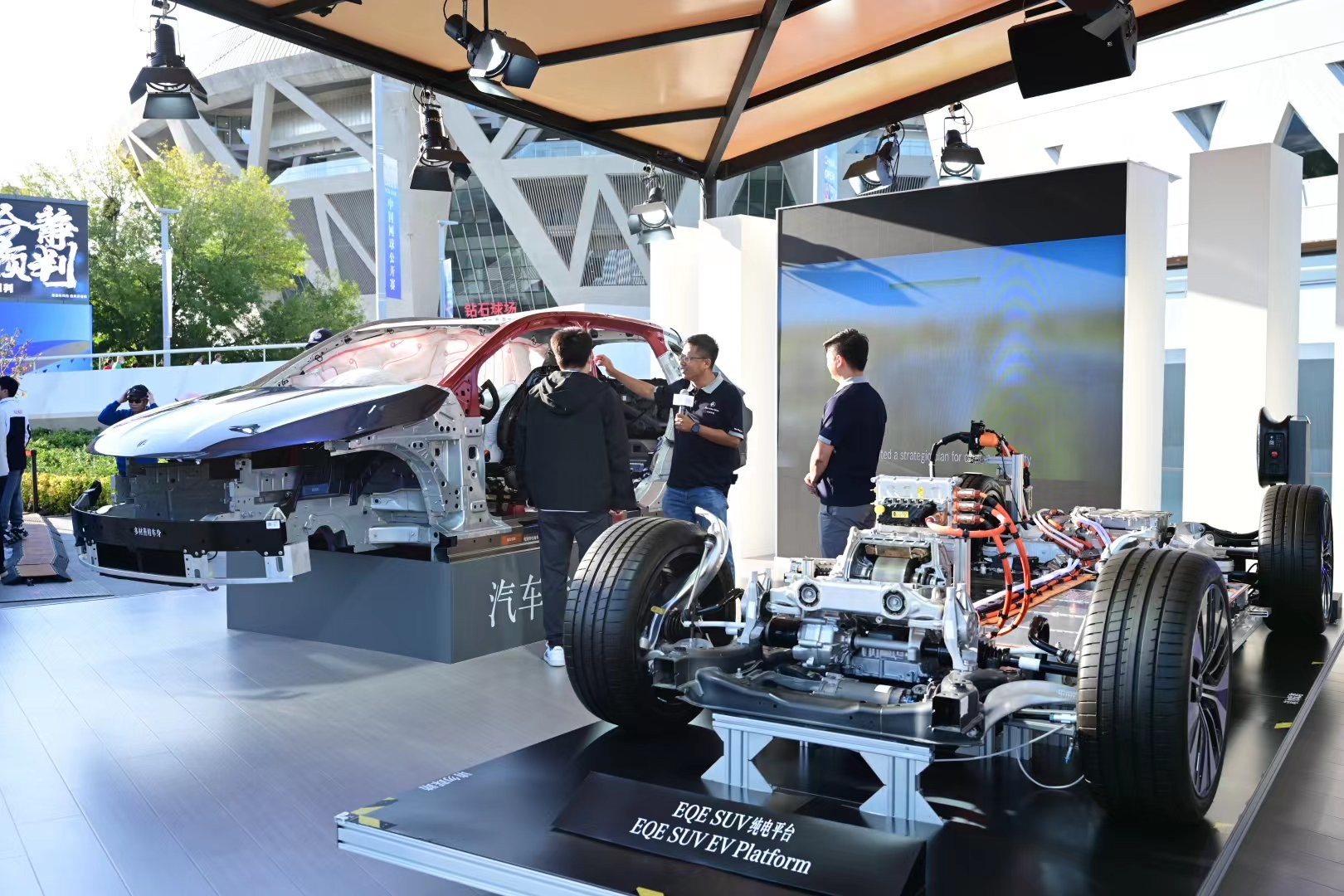 尔特塔的带 尔特塔的带